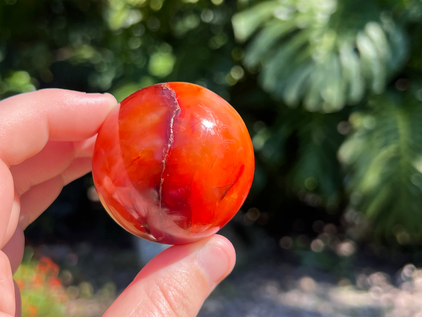 Vibrant Carnelian sphere with rich orange-red tones, celebrated for boosting confidence, motivation, and creative energy in my hand as a size guide