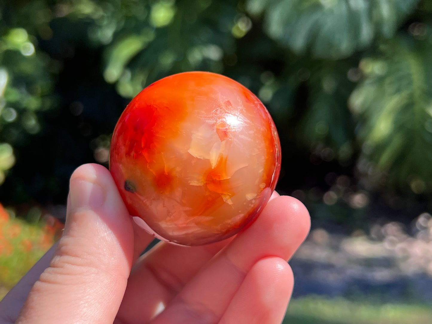 Vibrant Carnelian sphere with rich orange-red tones, celebrated for boosting confidence, motivation, and creative energy in my hand as as size guide