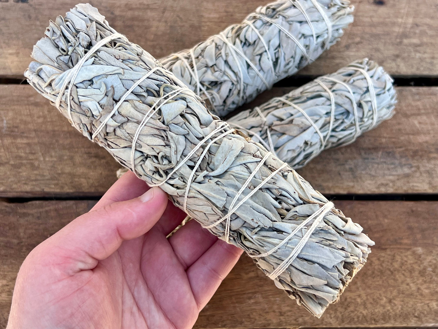 California White Sage Smudge Stick - Large
