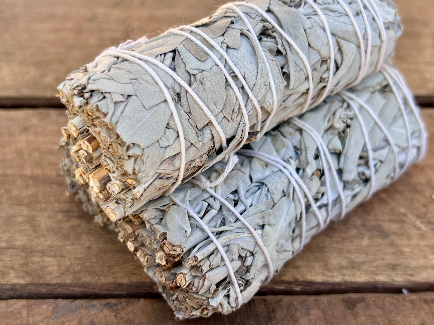 California White Sage Smudge Stick - Small