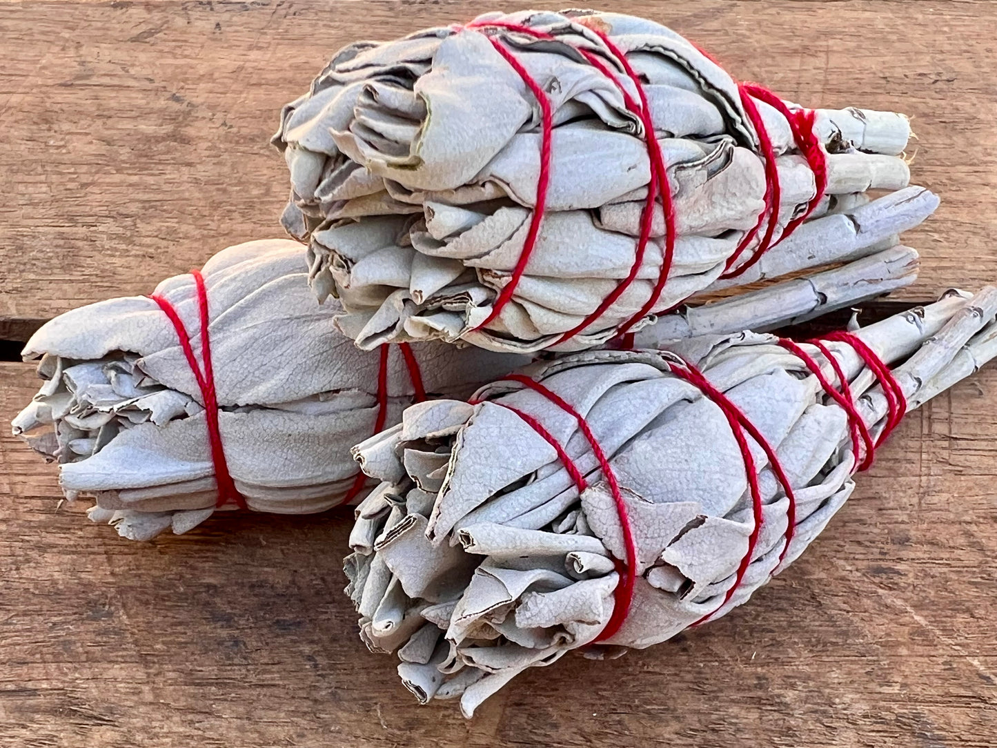 California White Sage Smudge Stick - Mini Torch