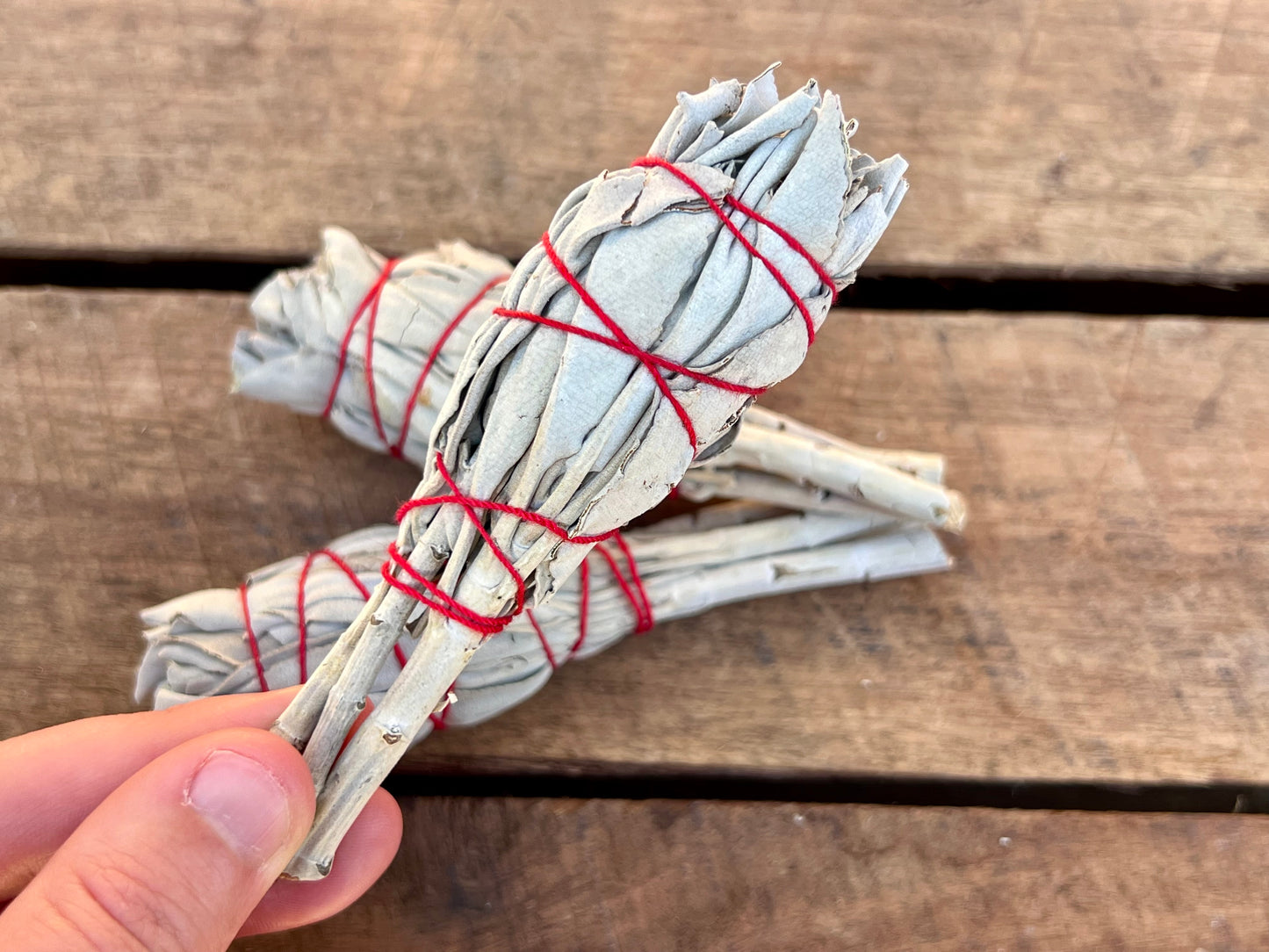 California White Sage Smudge Stick - Mini Torch