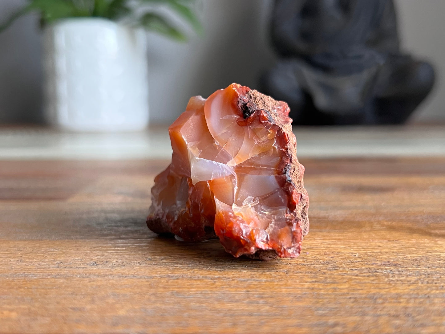 Carnelian Rough