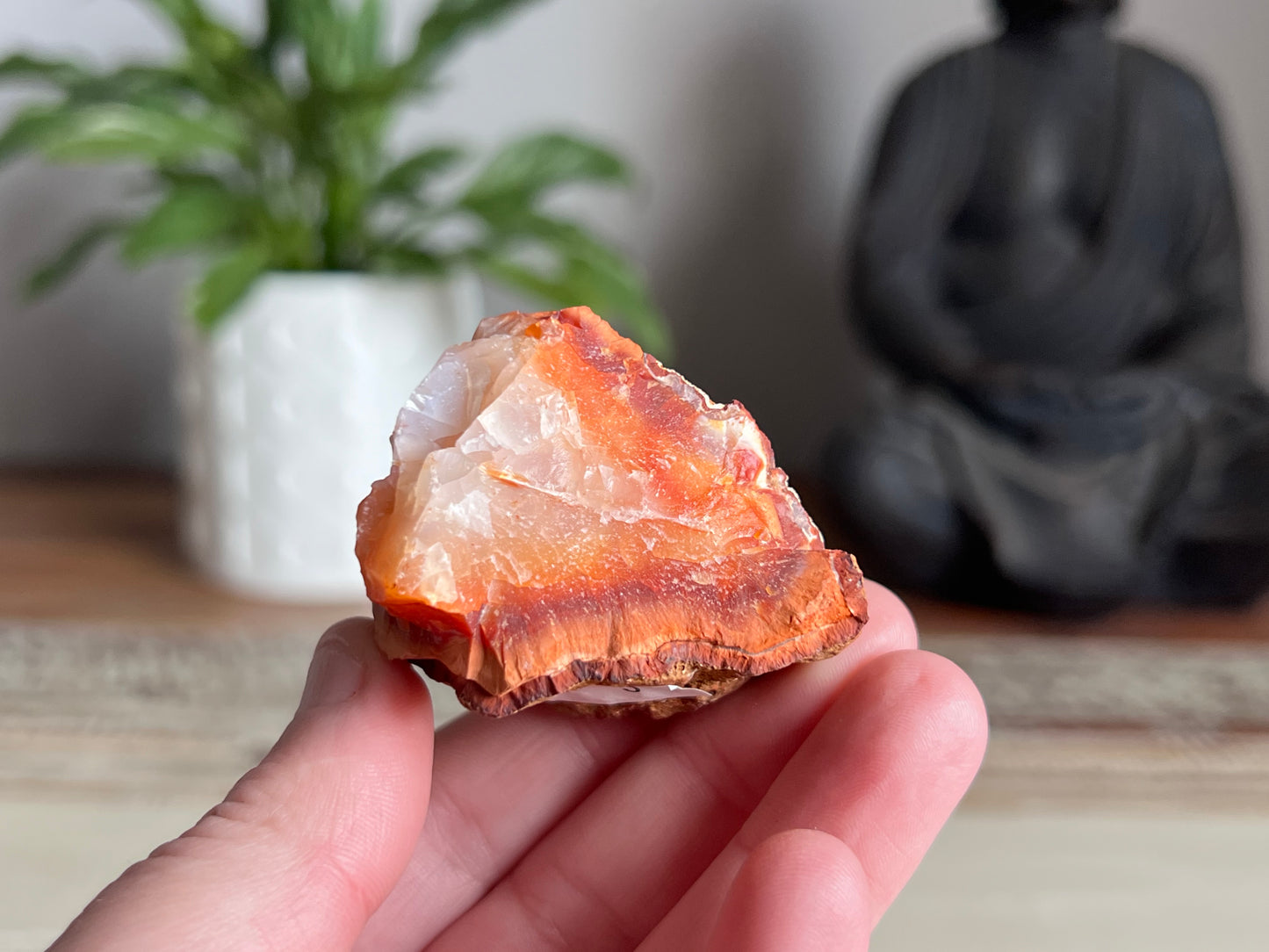 Carnelian Rough