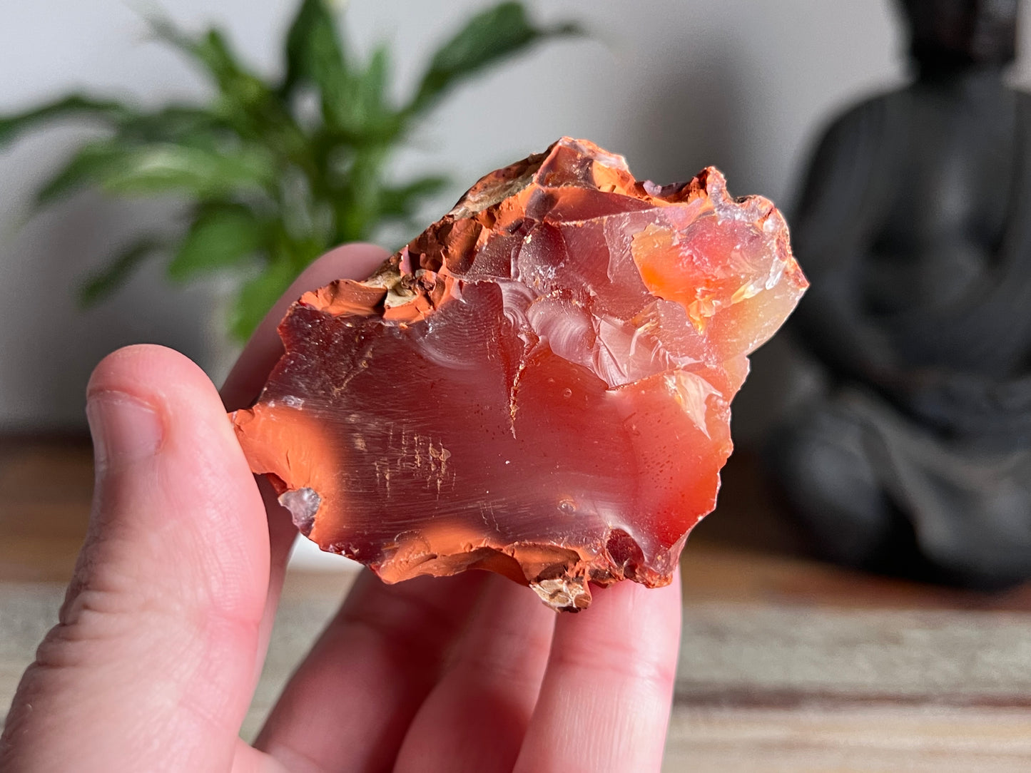 Carnelian Rough
