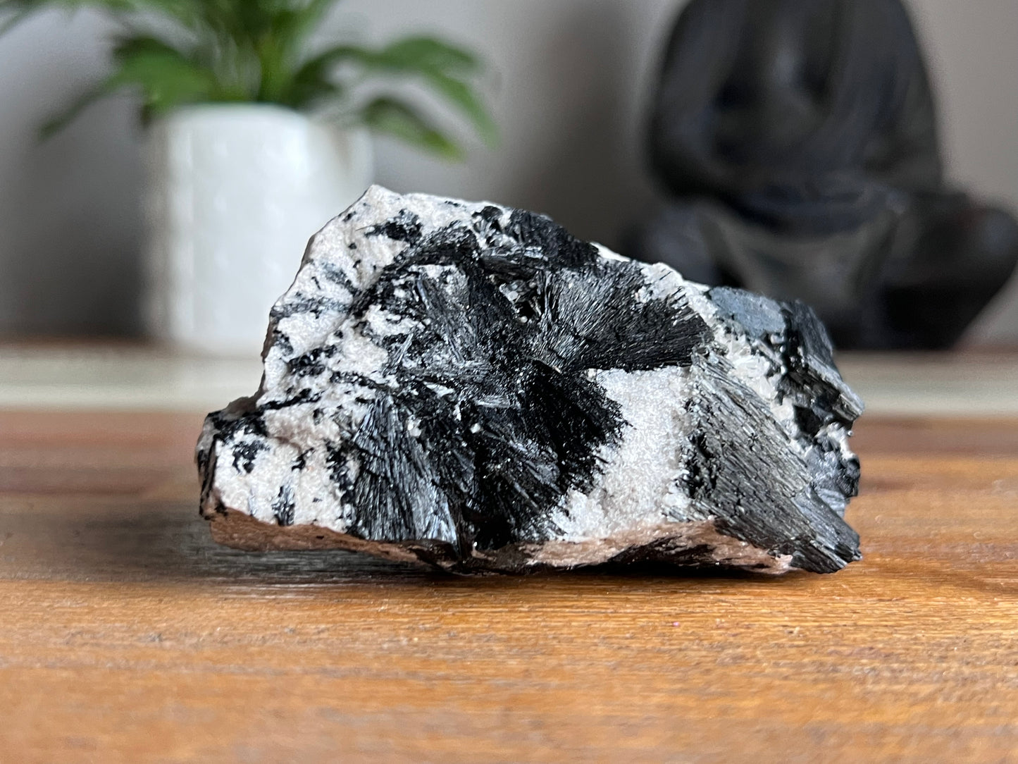 Schorl Tourmaline in Quartz