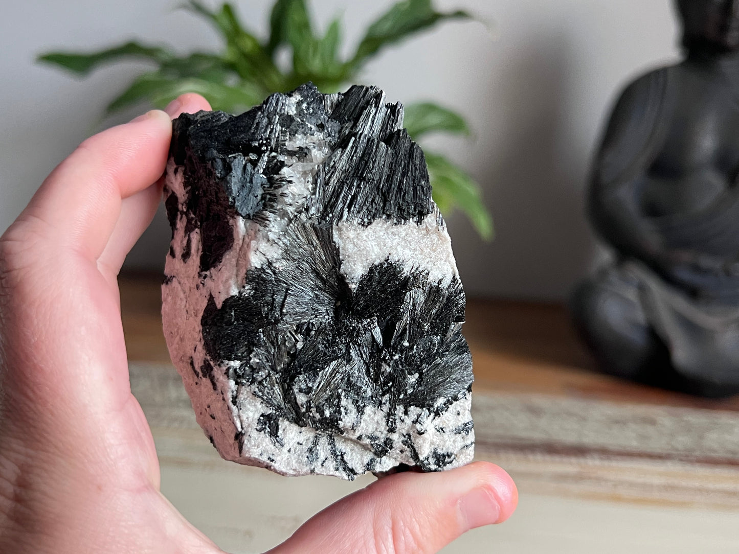 Schorl Tourmaline in Quartz