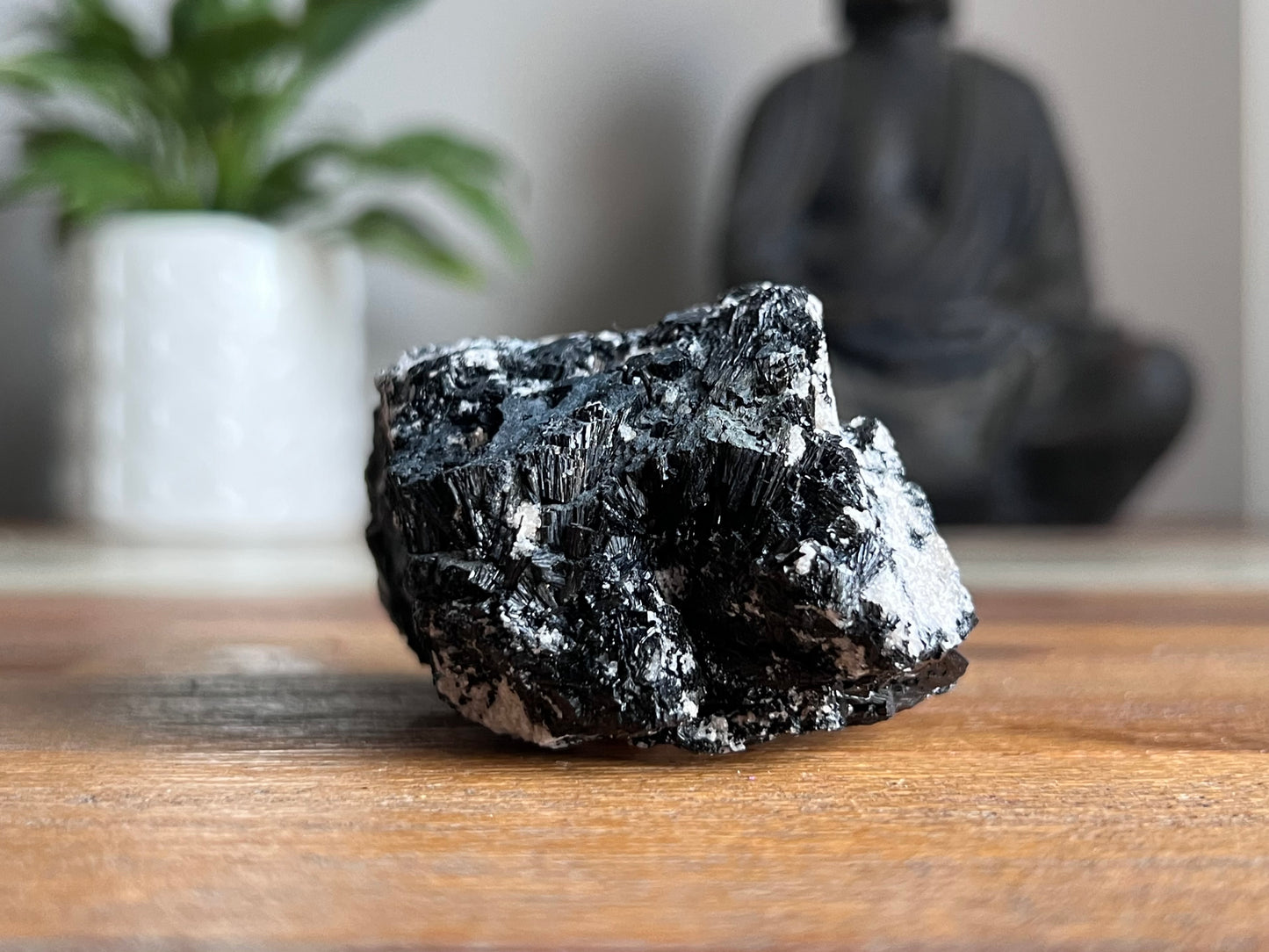 Schorl Tourmaline in Quartz