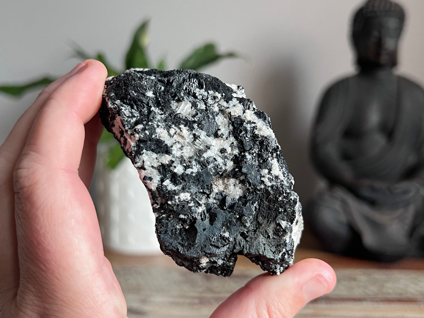 Schorl Tourmaline in Quartz