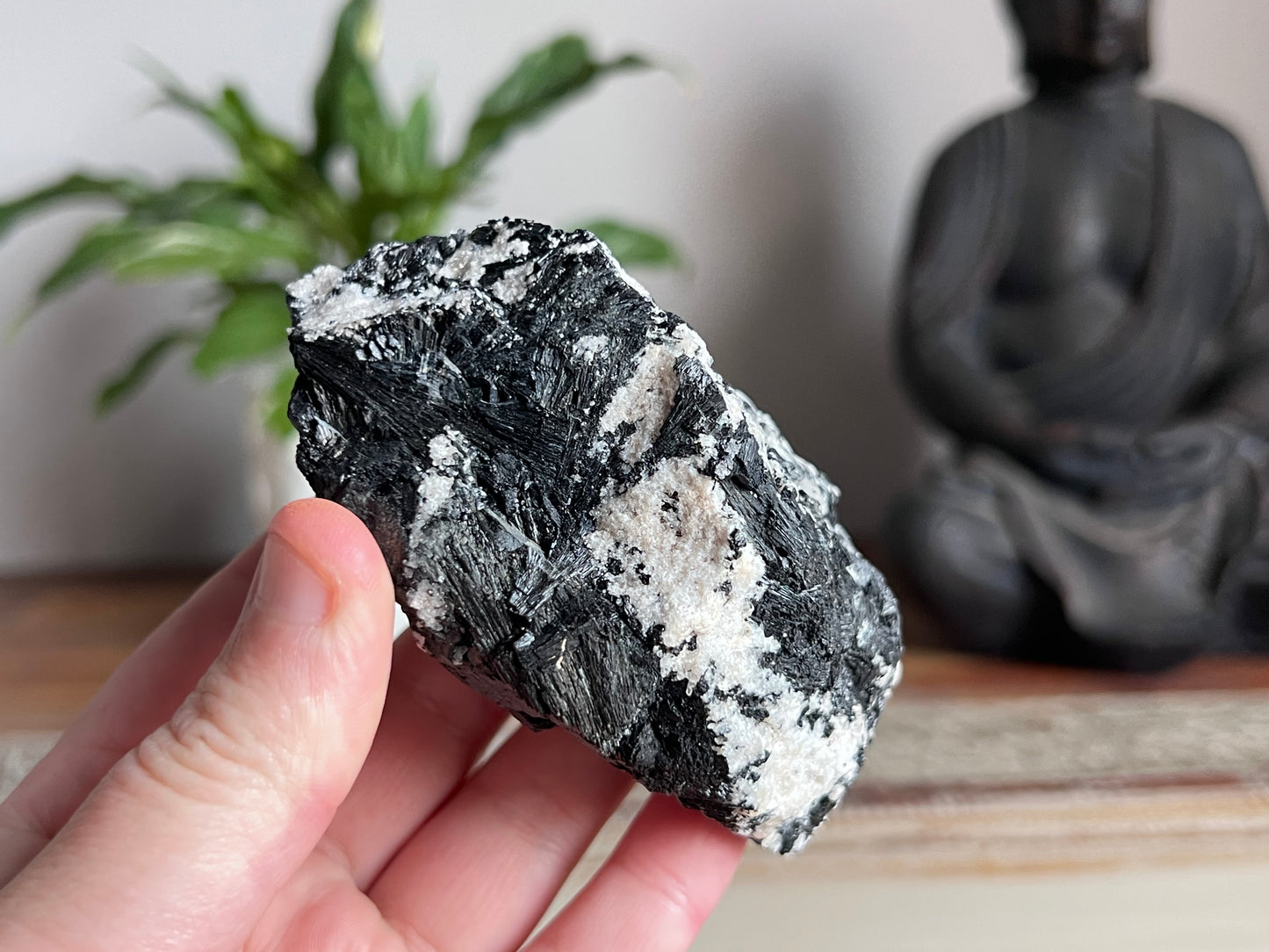 Schorl Tourmaline in Quartz