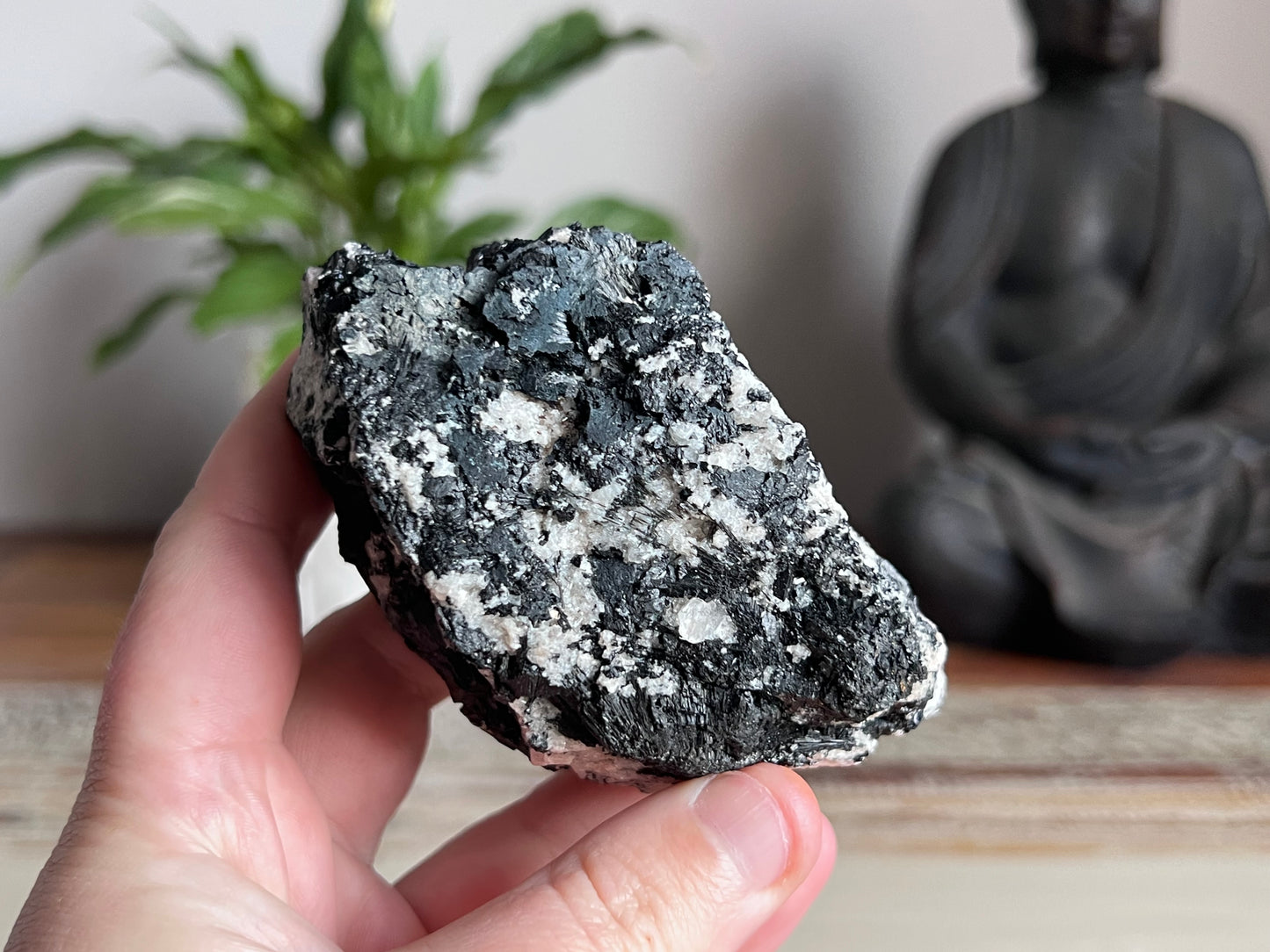 Schorl Tourmaline in Quartz