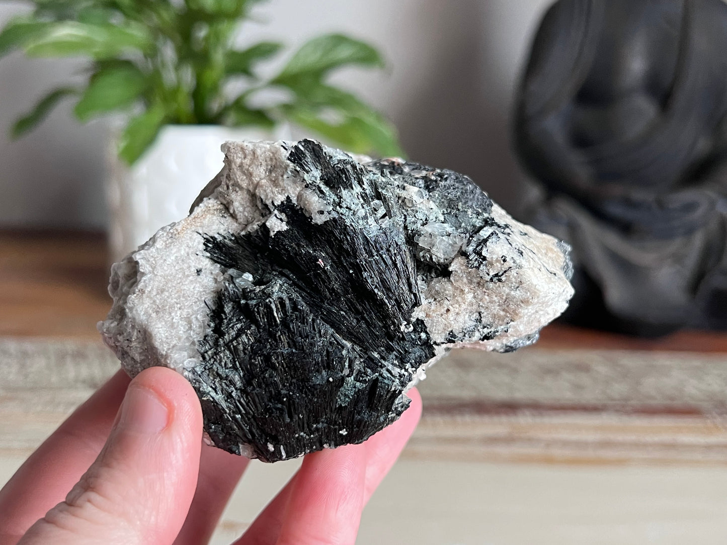 Schorl Tourmaline in Quartz