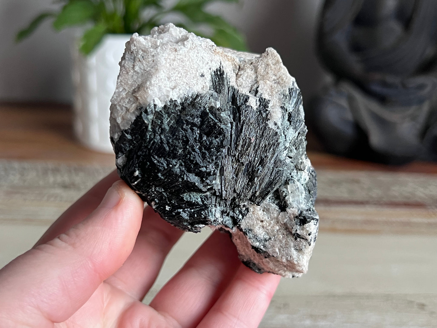 Schorl Tourmaline in Quartz