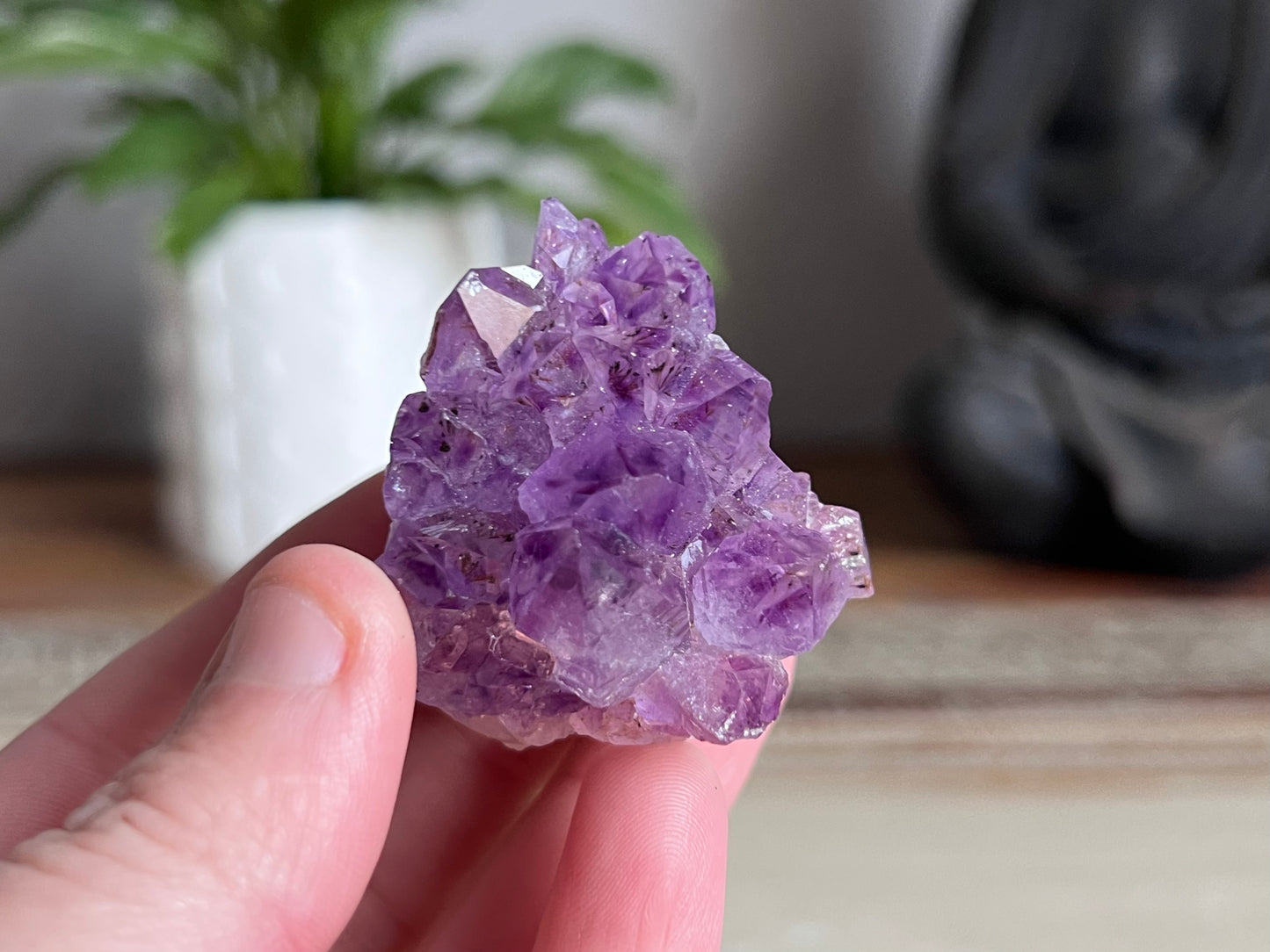 Amethyst Cluster