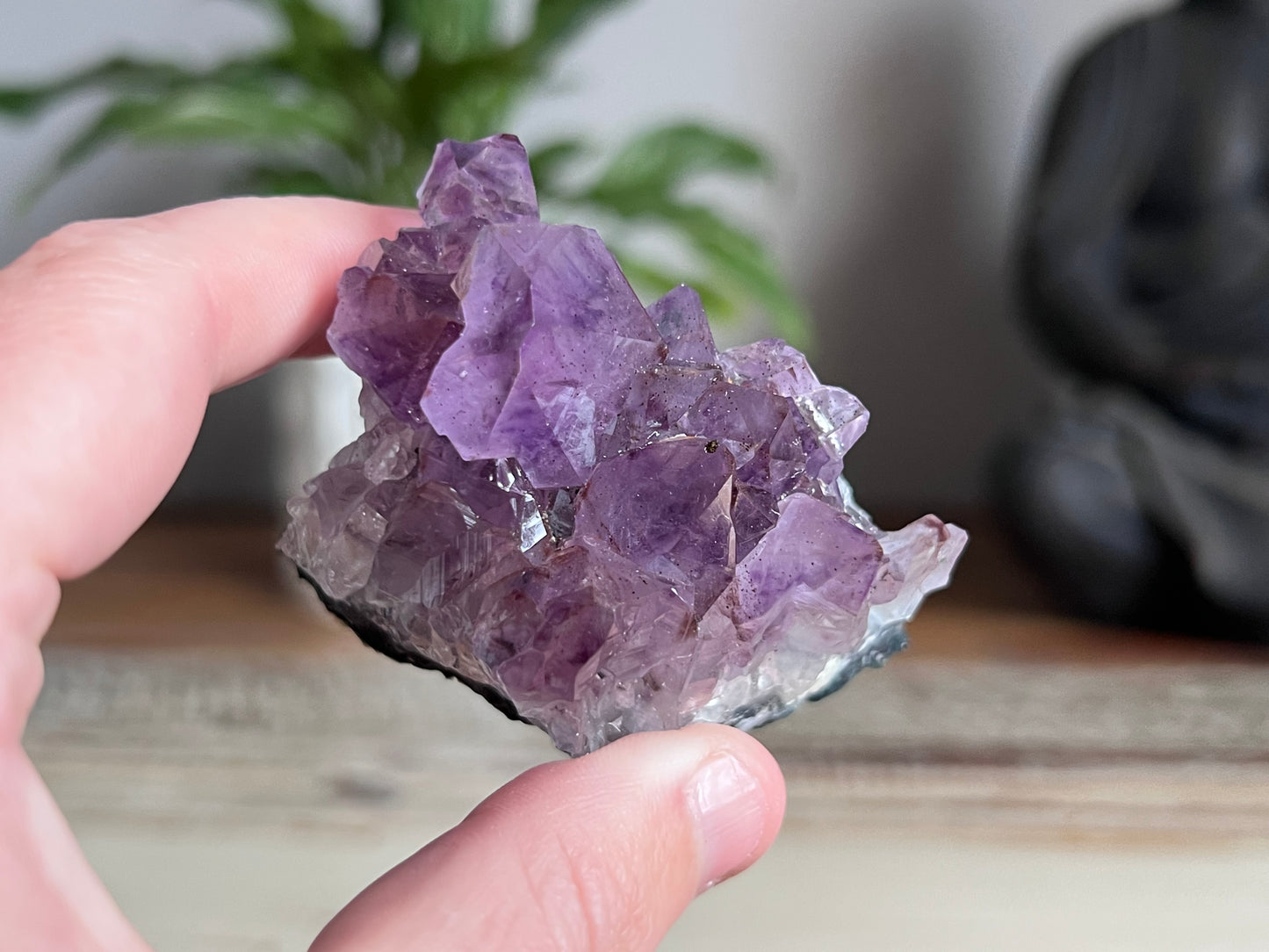 Amethyst Cluster