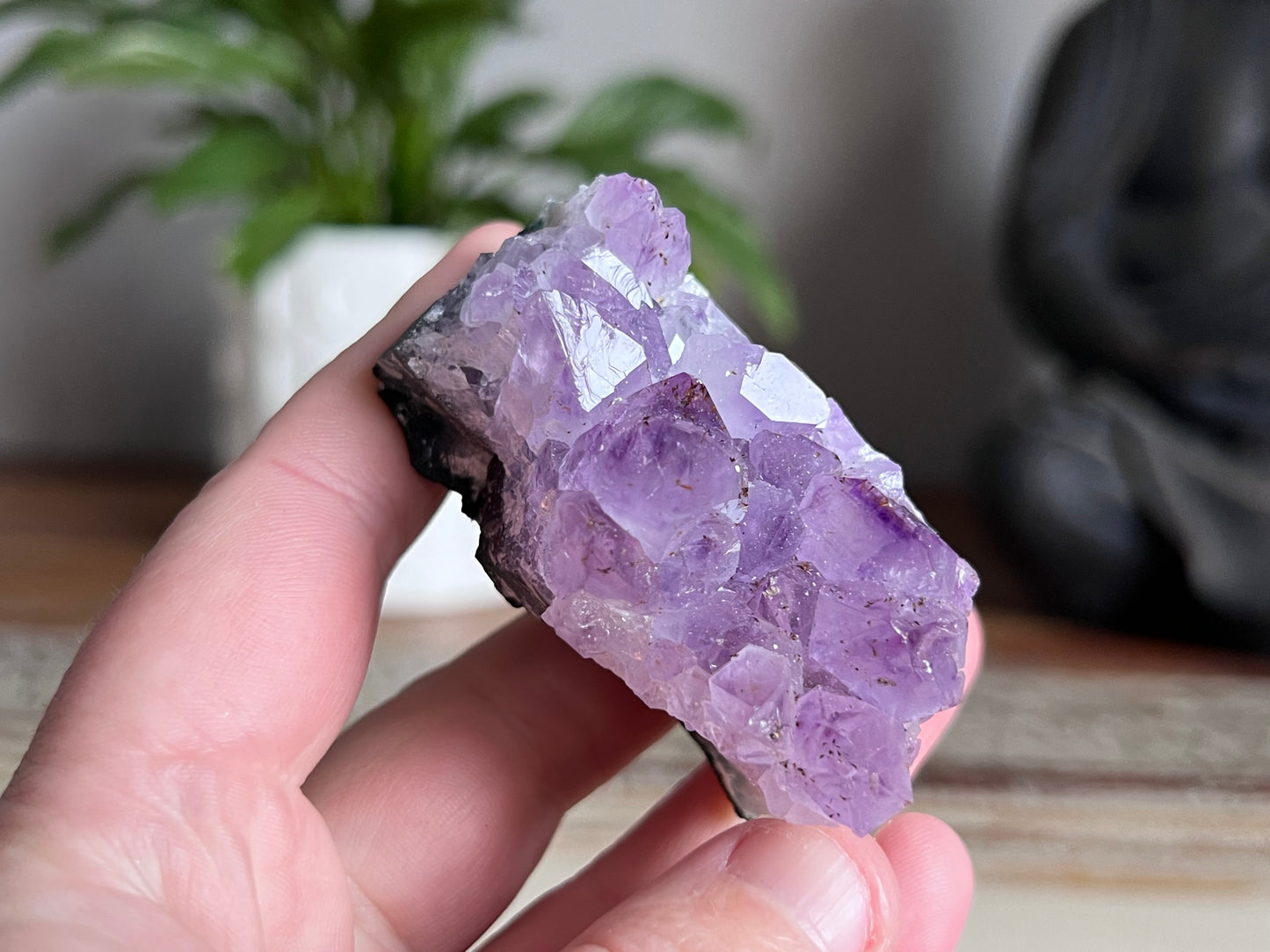 Amethyst Cluster