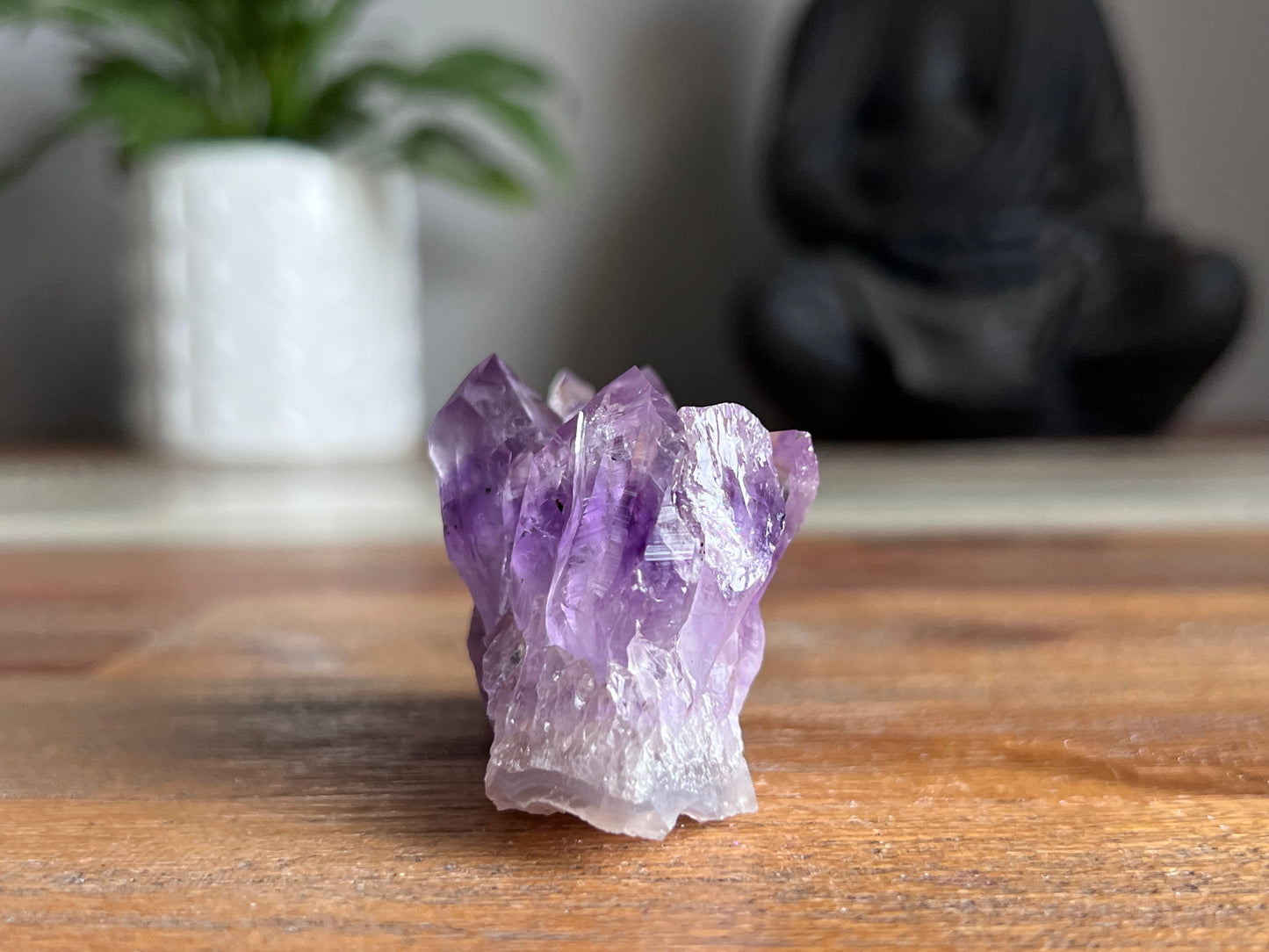Amethyst Cluster