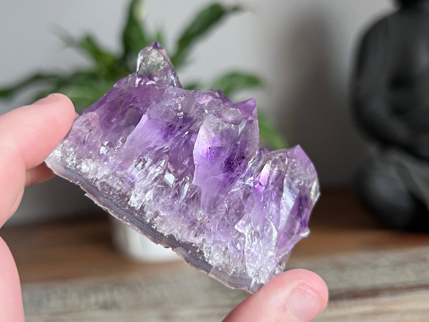 Amethyst Cluster