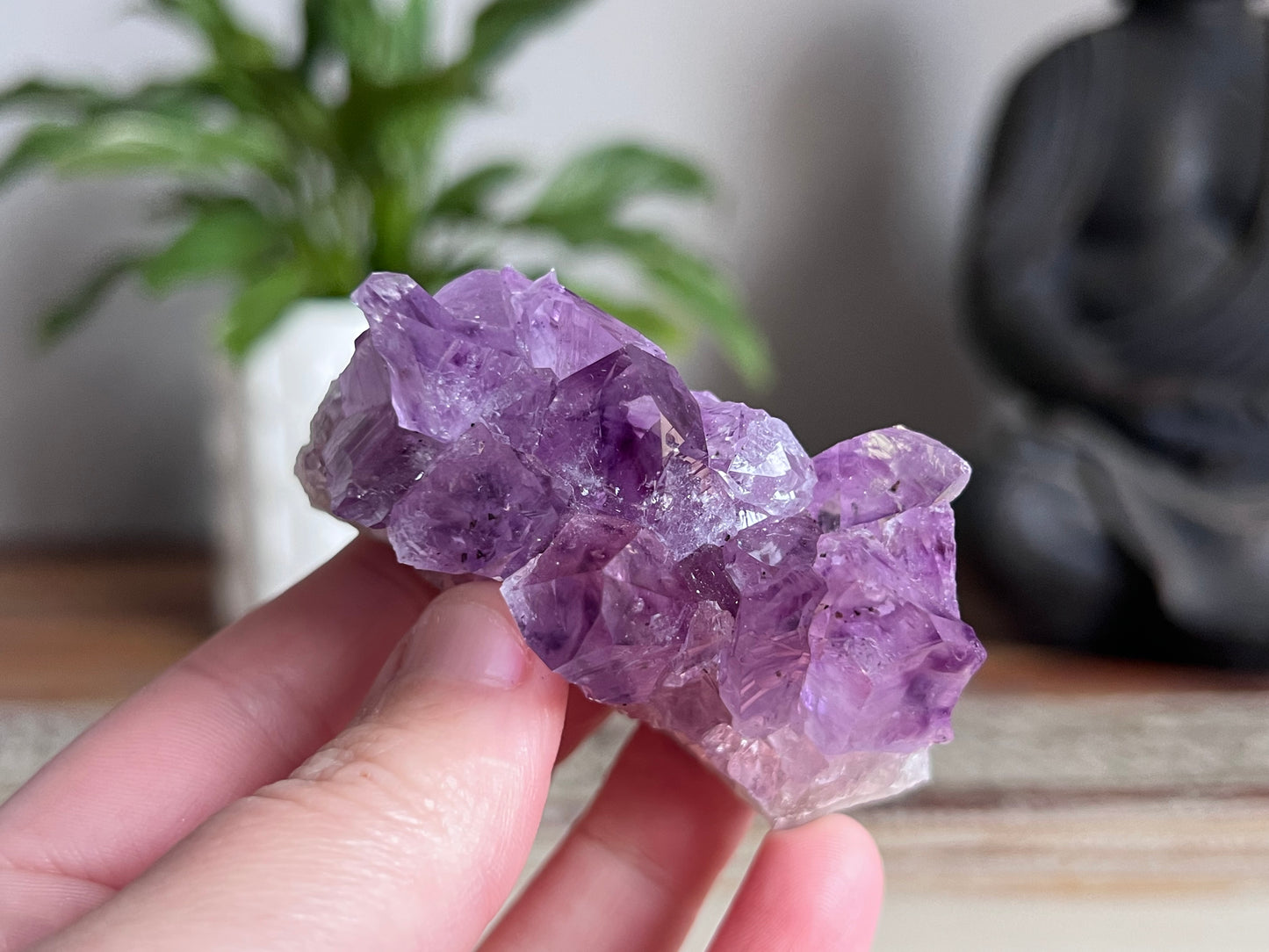 Amethyst Cluster