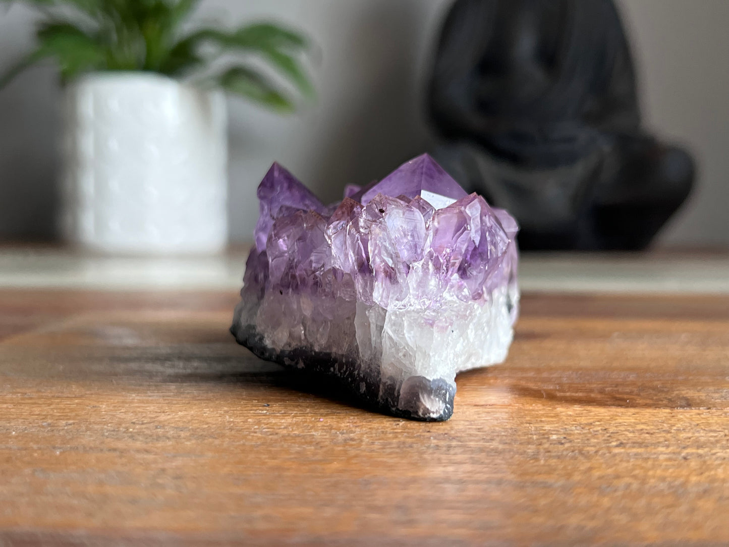 Amethyst Cluster