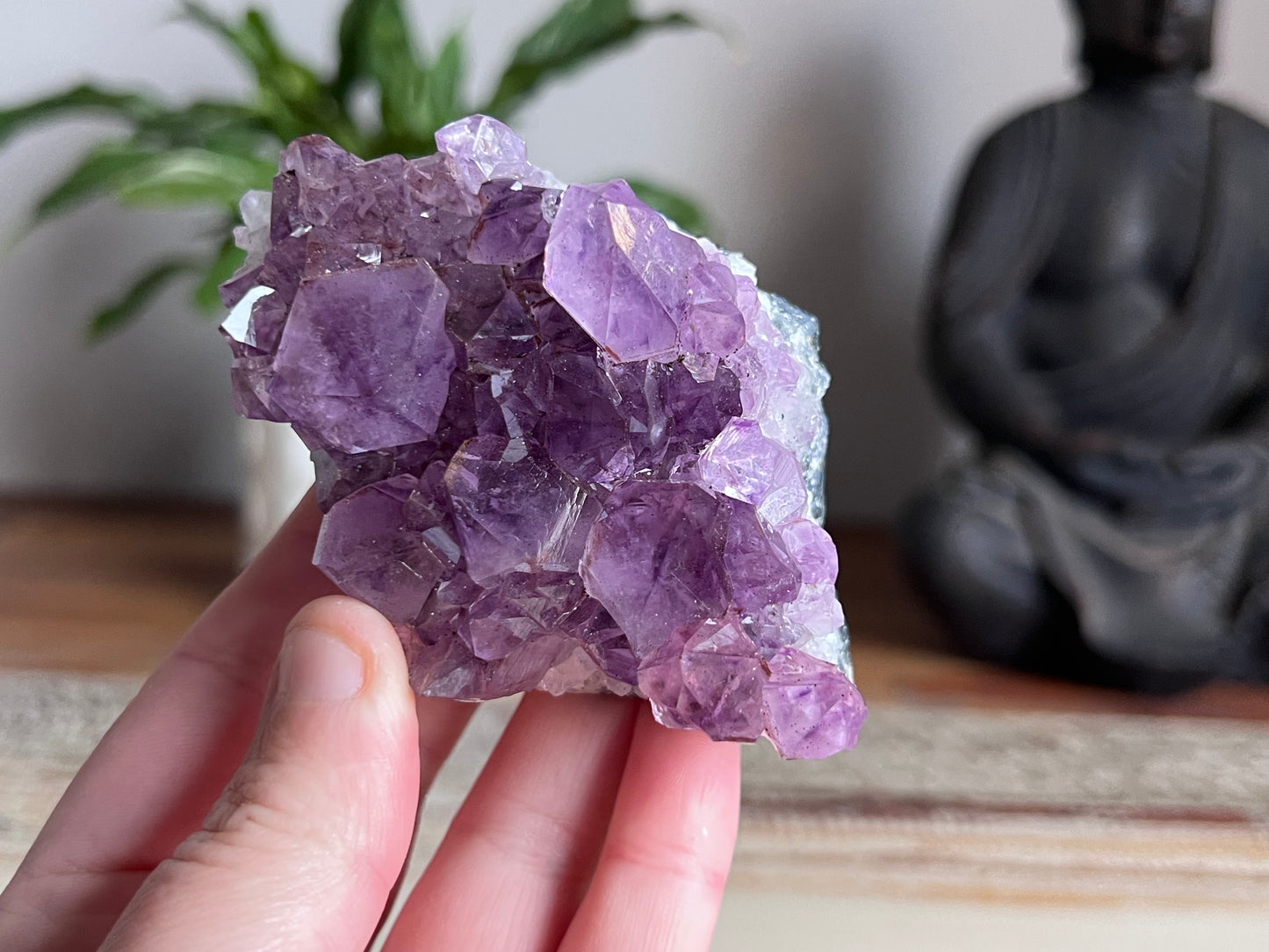 Amethyst Cluster