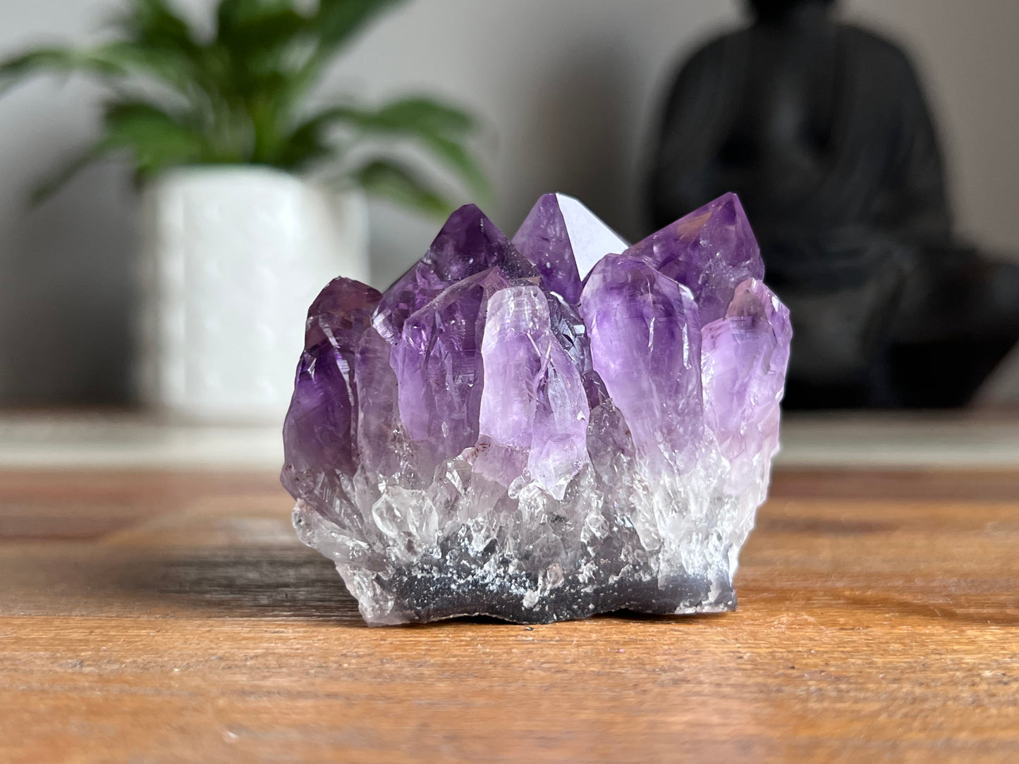 Amethyst Cluster