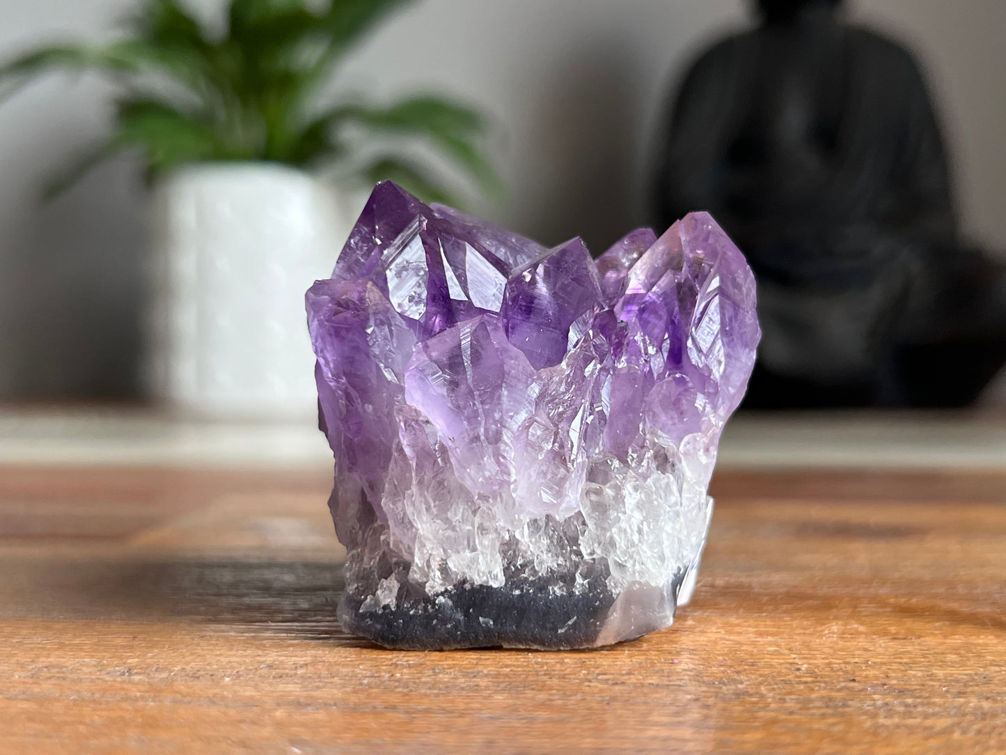 Amethyst Cluster