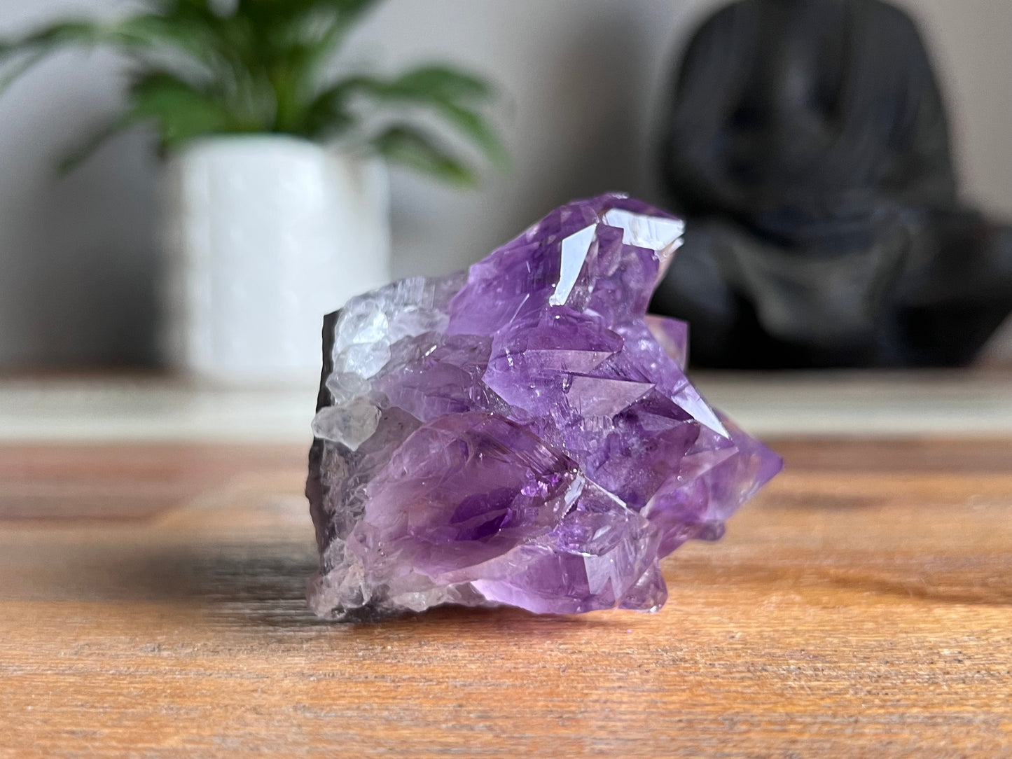Amethyst Cluster
