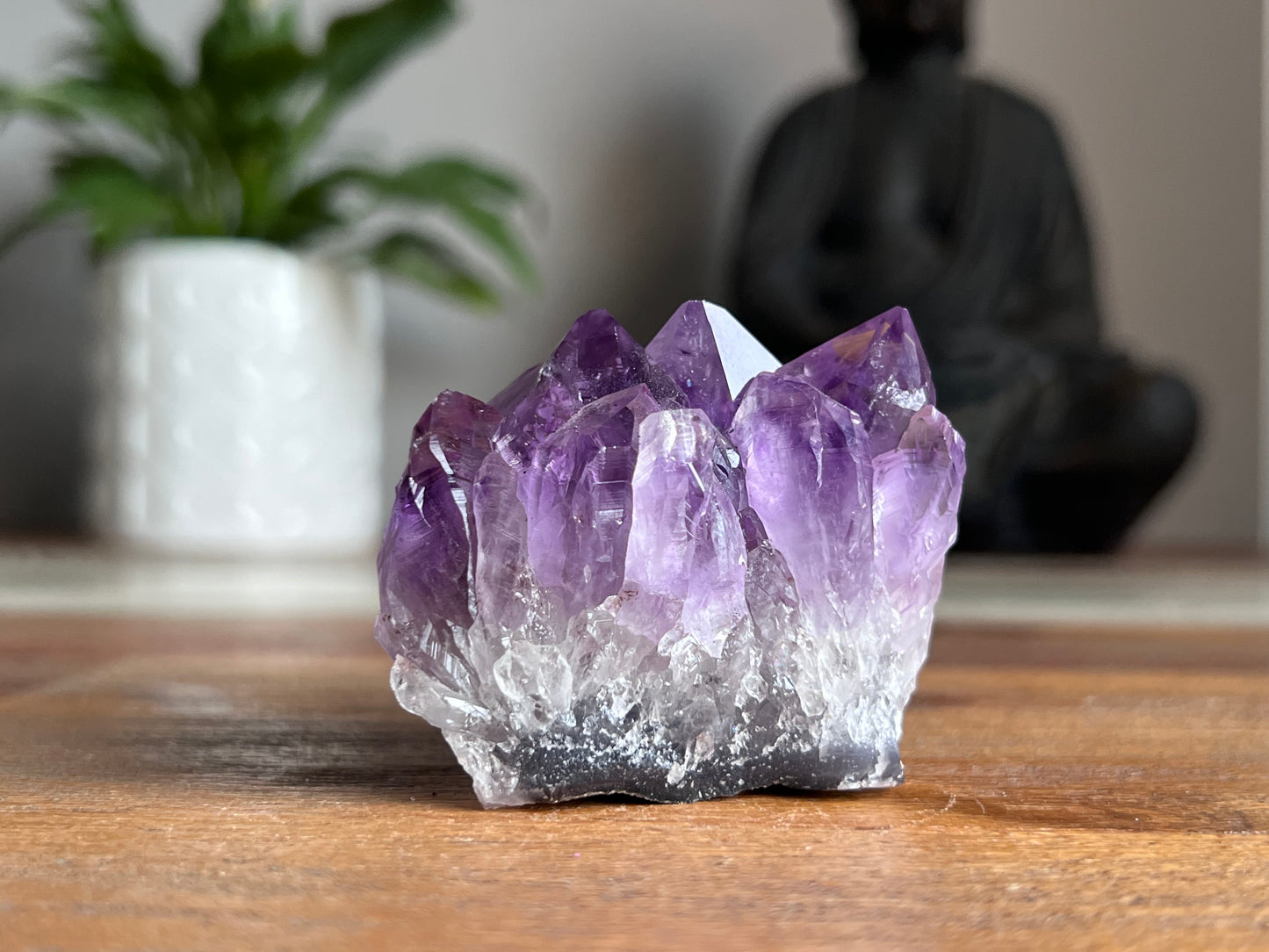 Amethyst Cluster