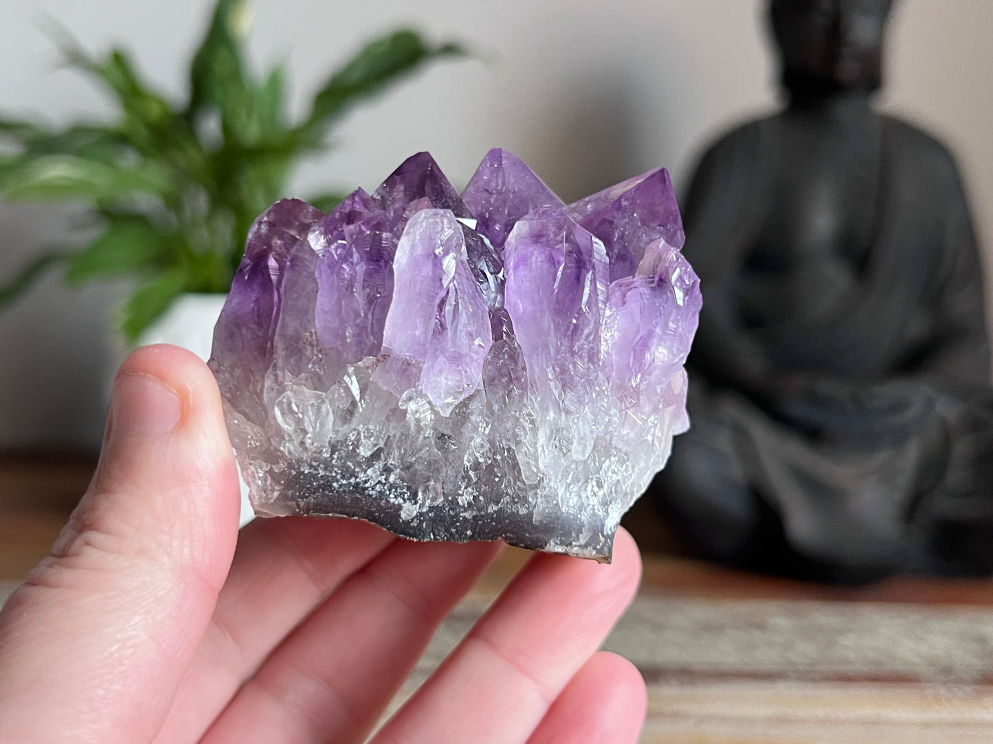 Amethyst Cluster