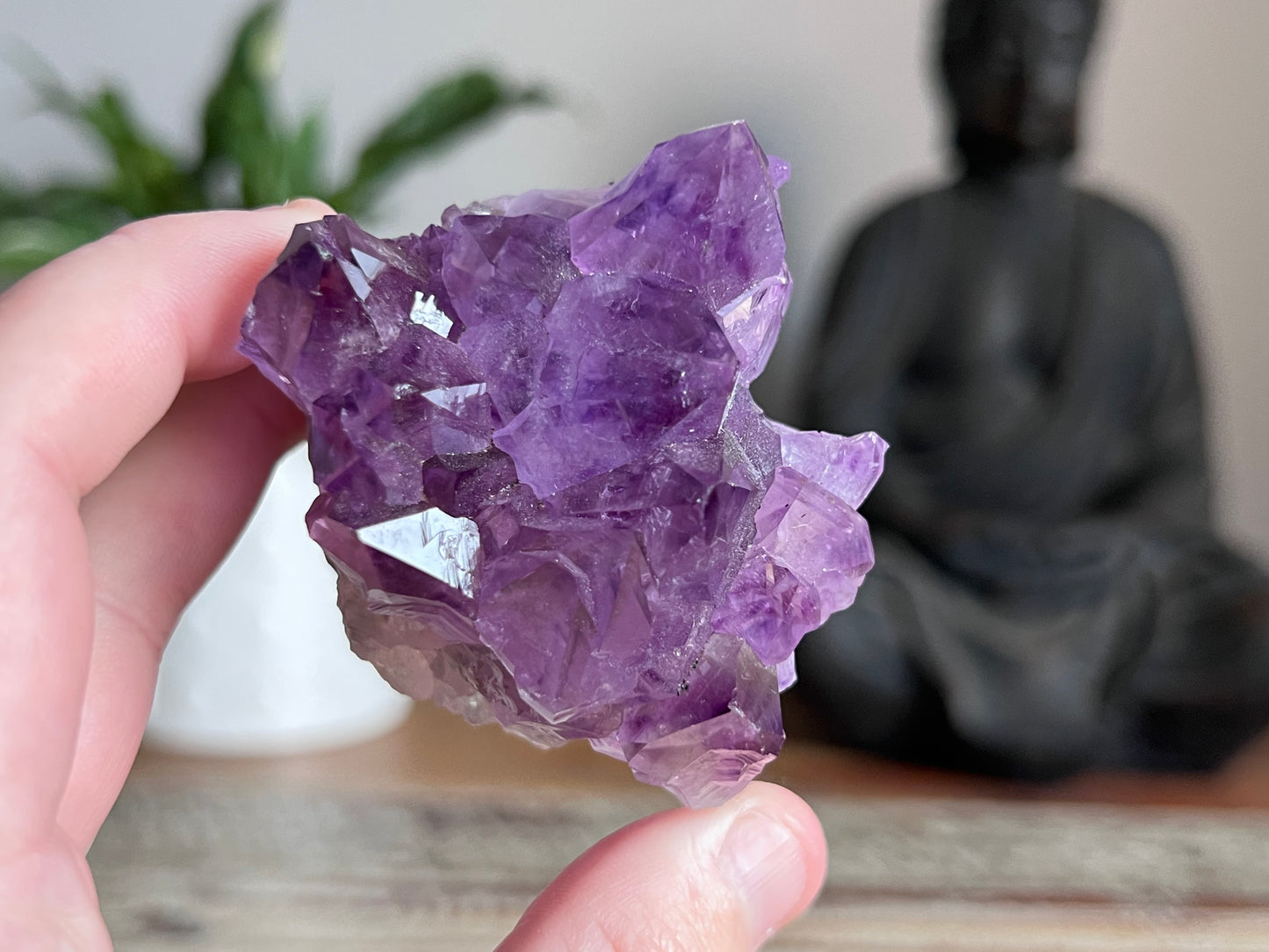 Amethyst Cluster