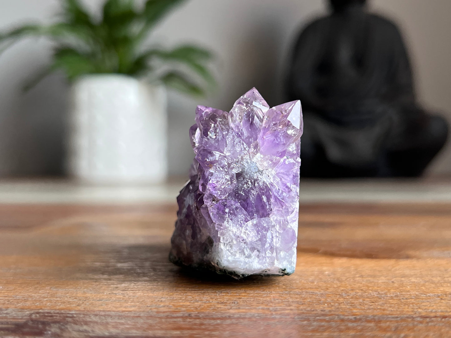 Amethyst Cluster