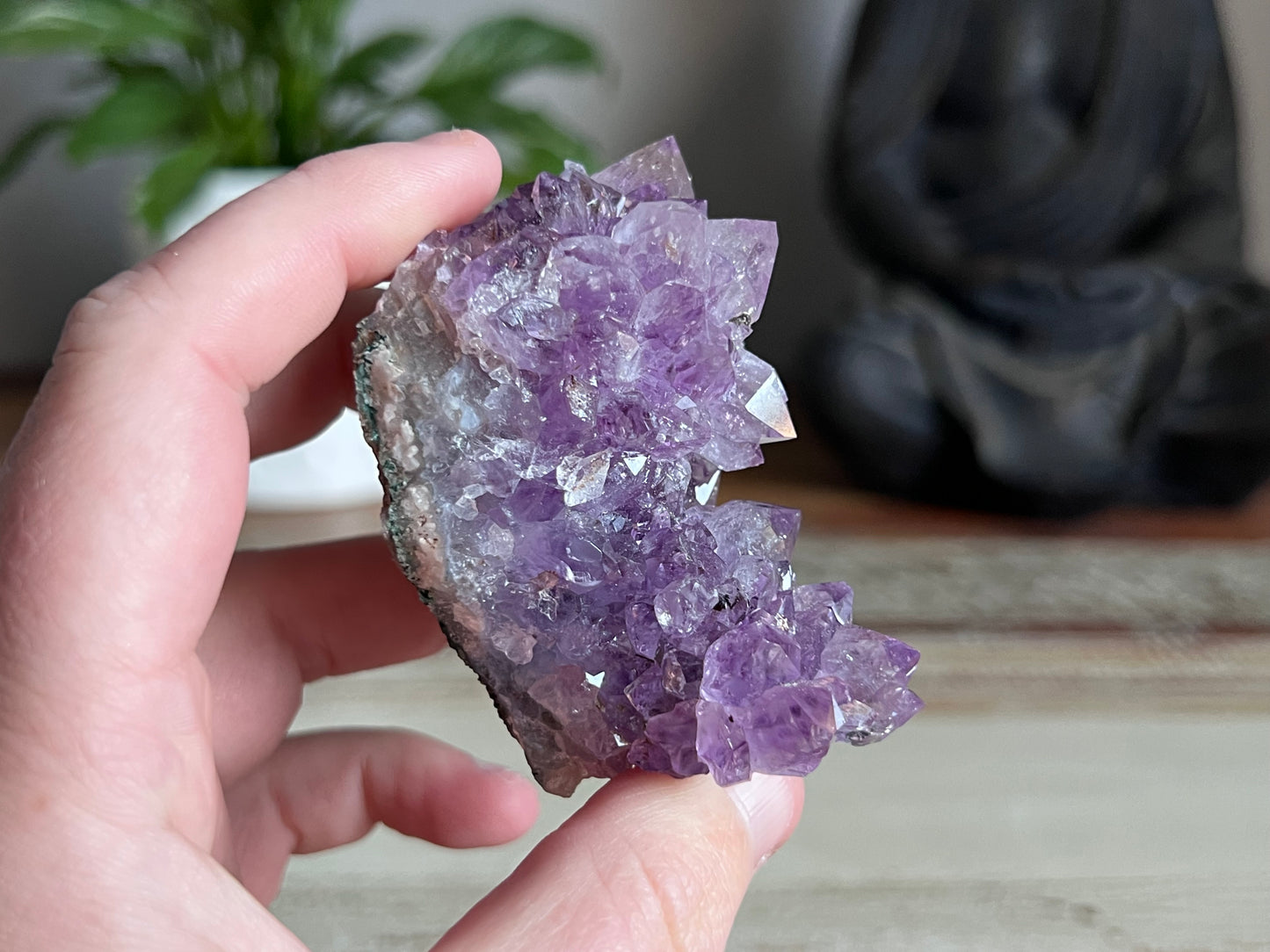 Amethyst Cluster