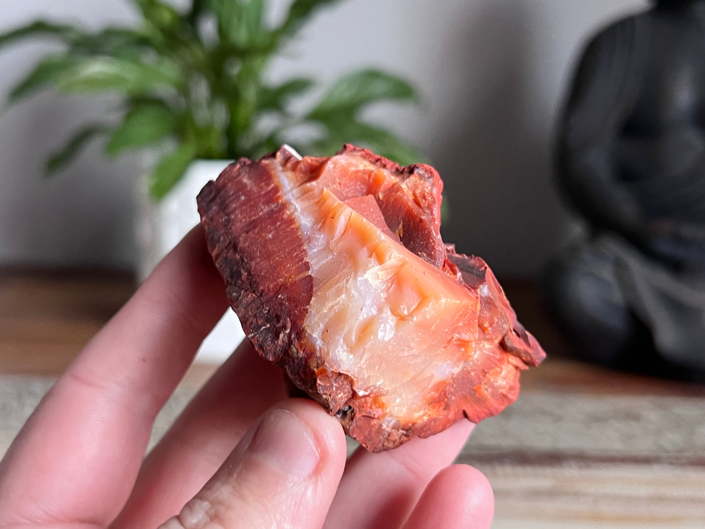 Carnelian Rough