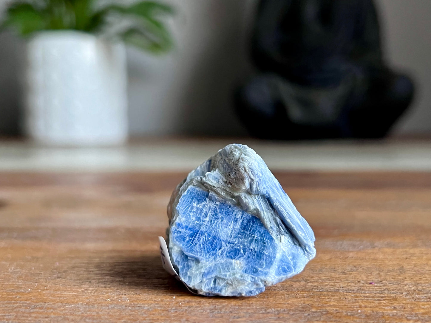 Blue Kyanite Cluster