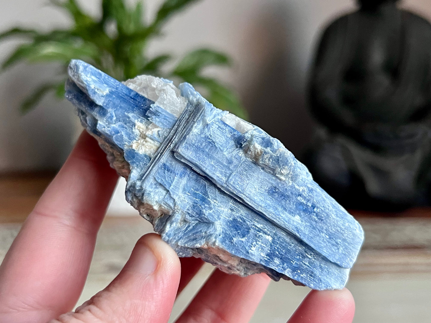 Blue Kyanite Cluster