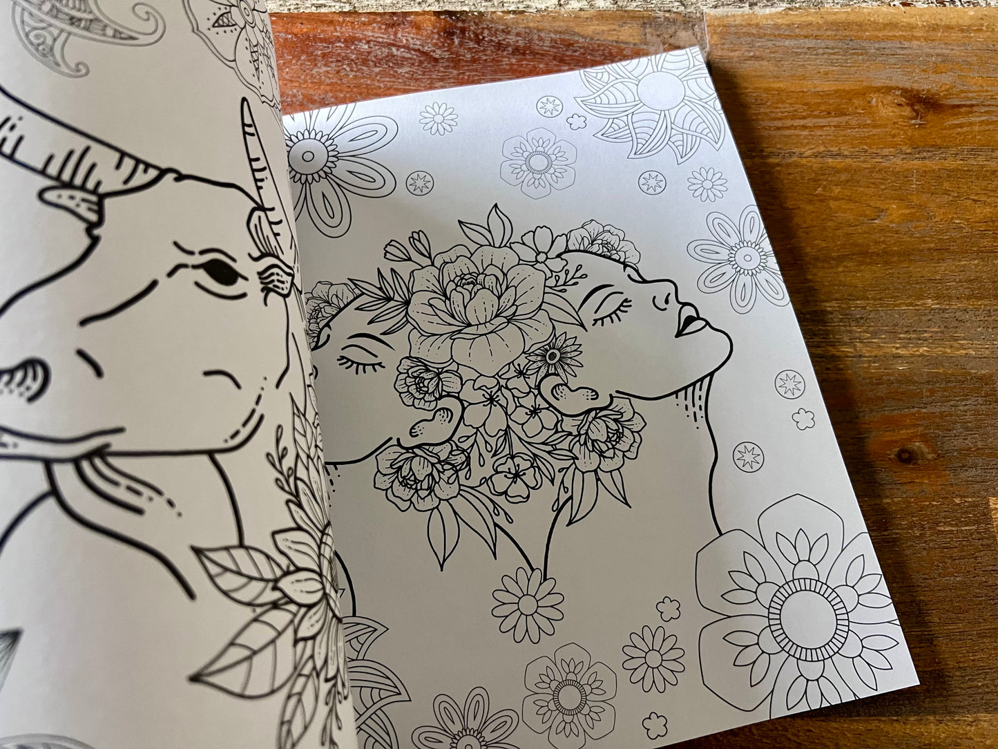 Zodiac And Astrology Adult Colouring Book