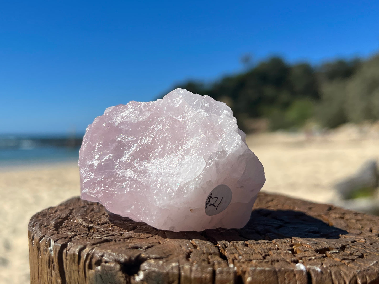 Rose Quartz Rough With Polished Face