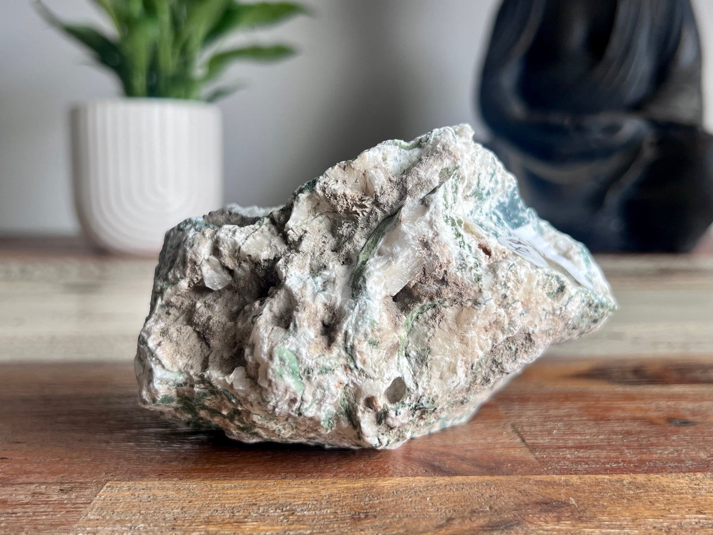 Tree Agate Rough