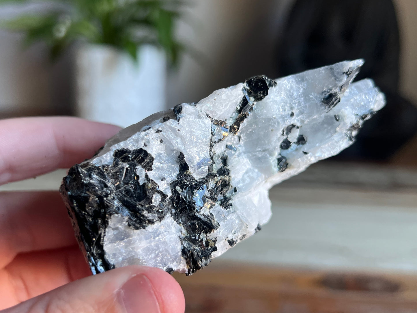 Rainbow Moonstone Rough