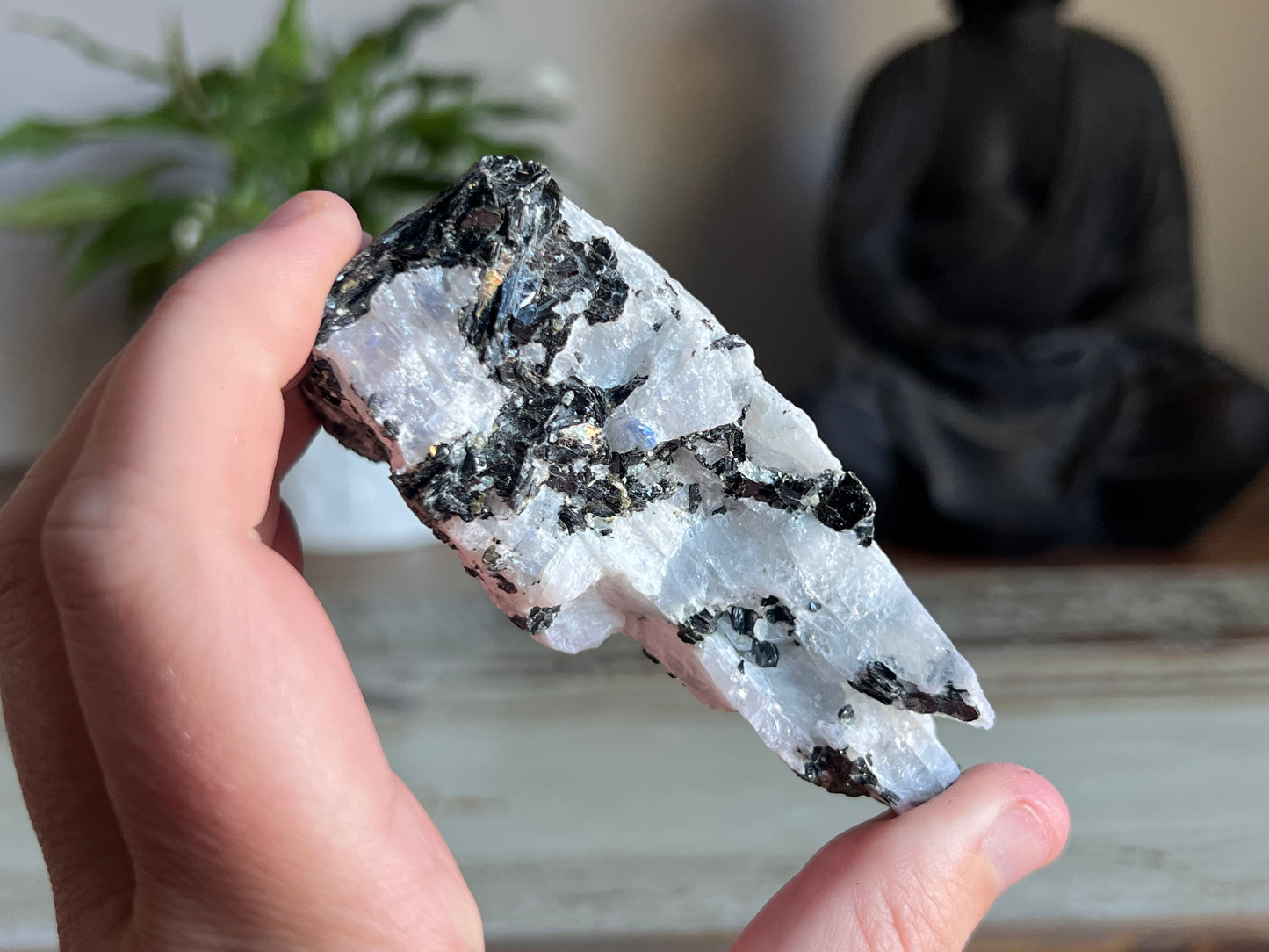 Rainbow Moonstone Rough