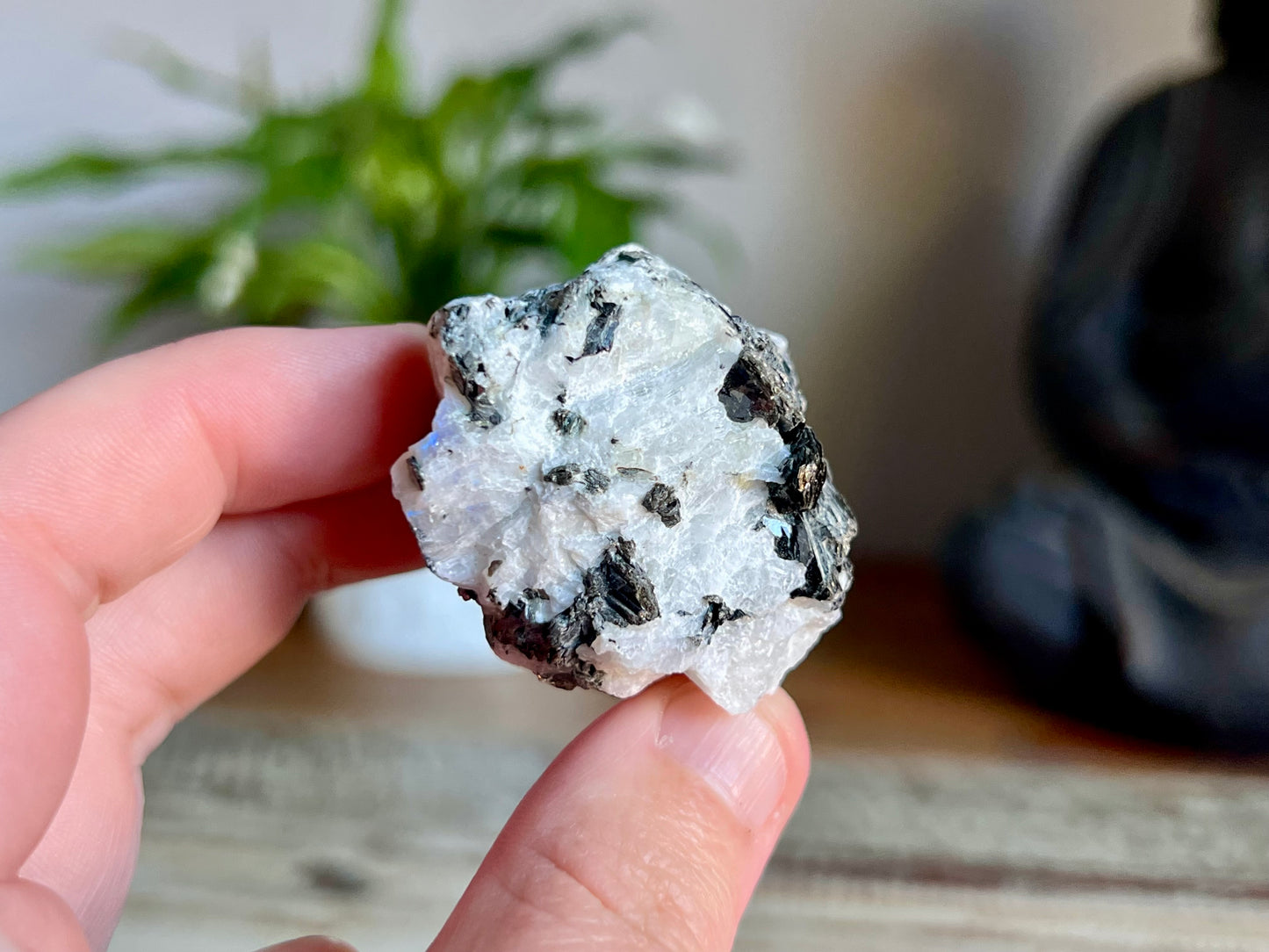 Rainbow Moonstone Rough