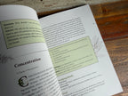 The Complete Smudging Handbook