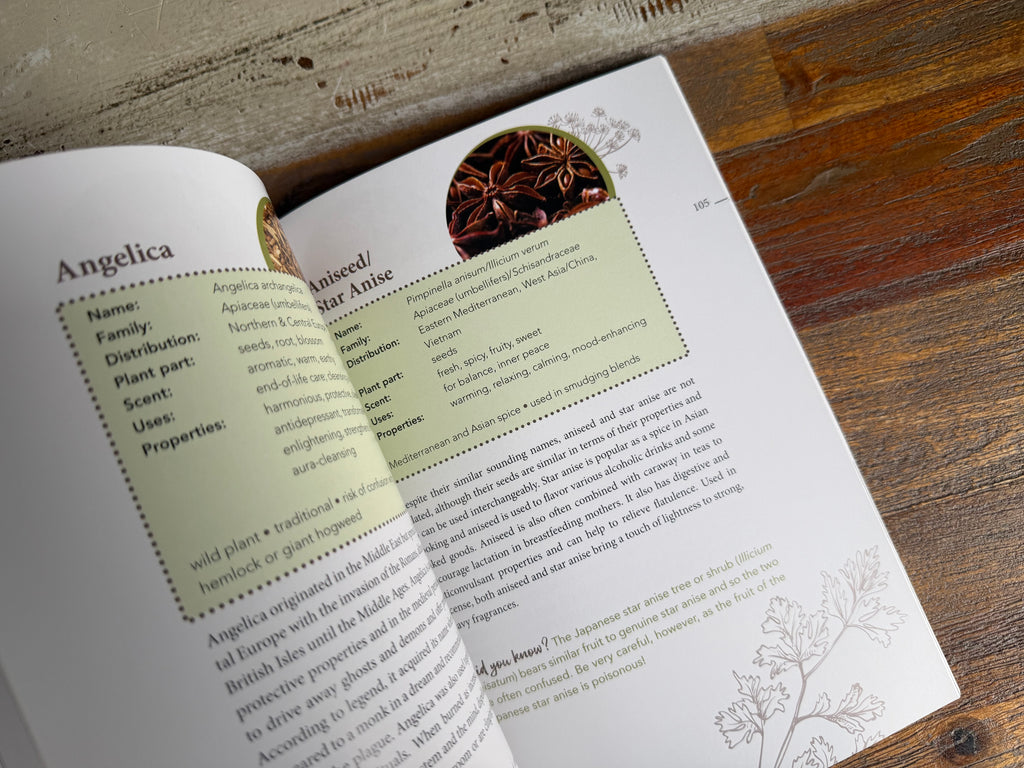 The Complete Smudging Handbook