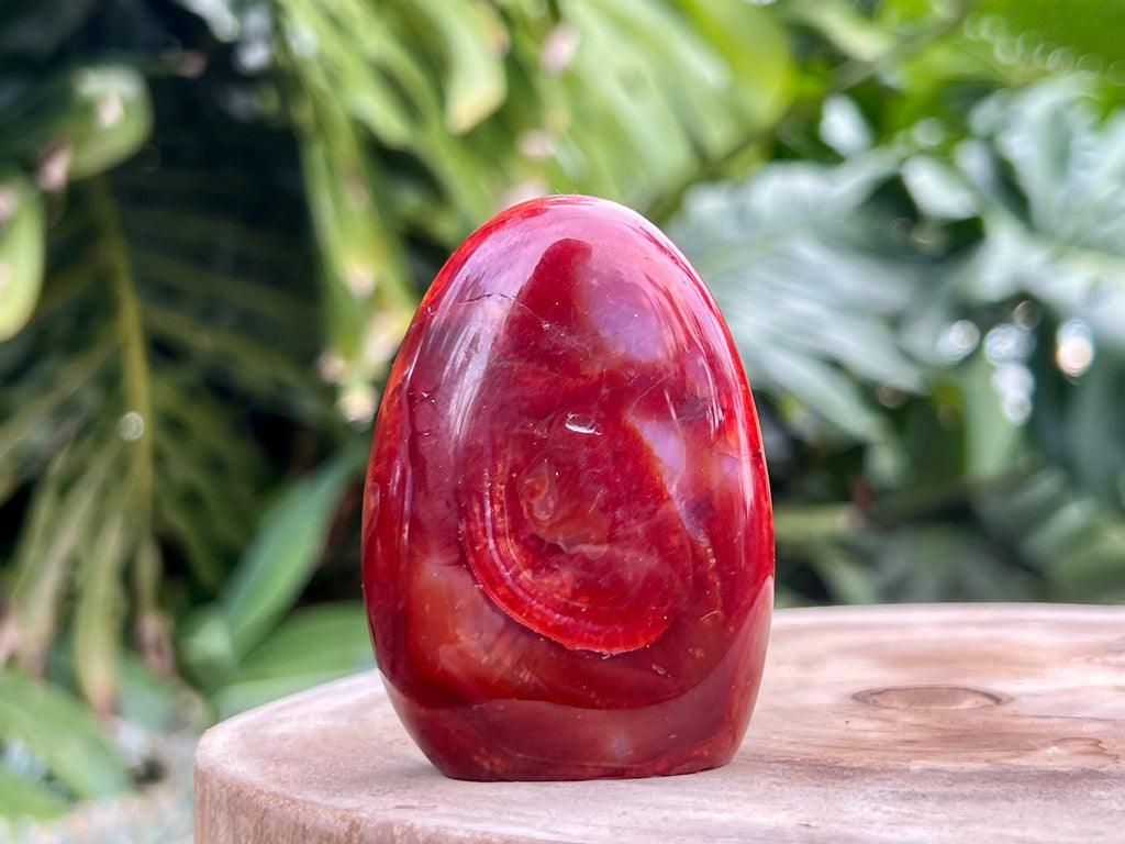 Carnelian freeform with rich orange and red swirls, polished to a glossy finish, radiating warmth, vitality, and creative energy