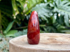 Carnelian Freeform
