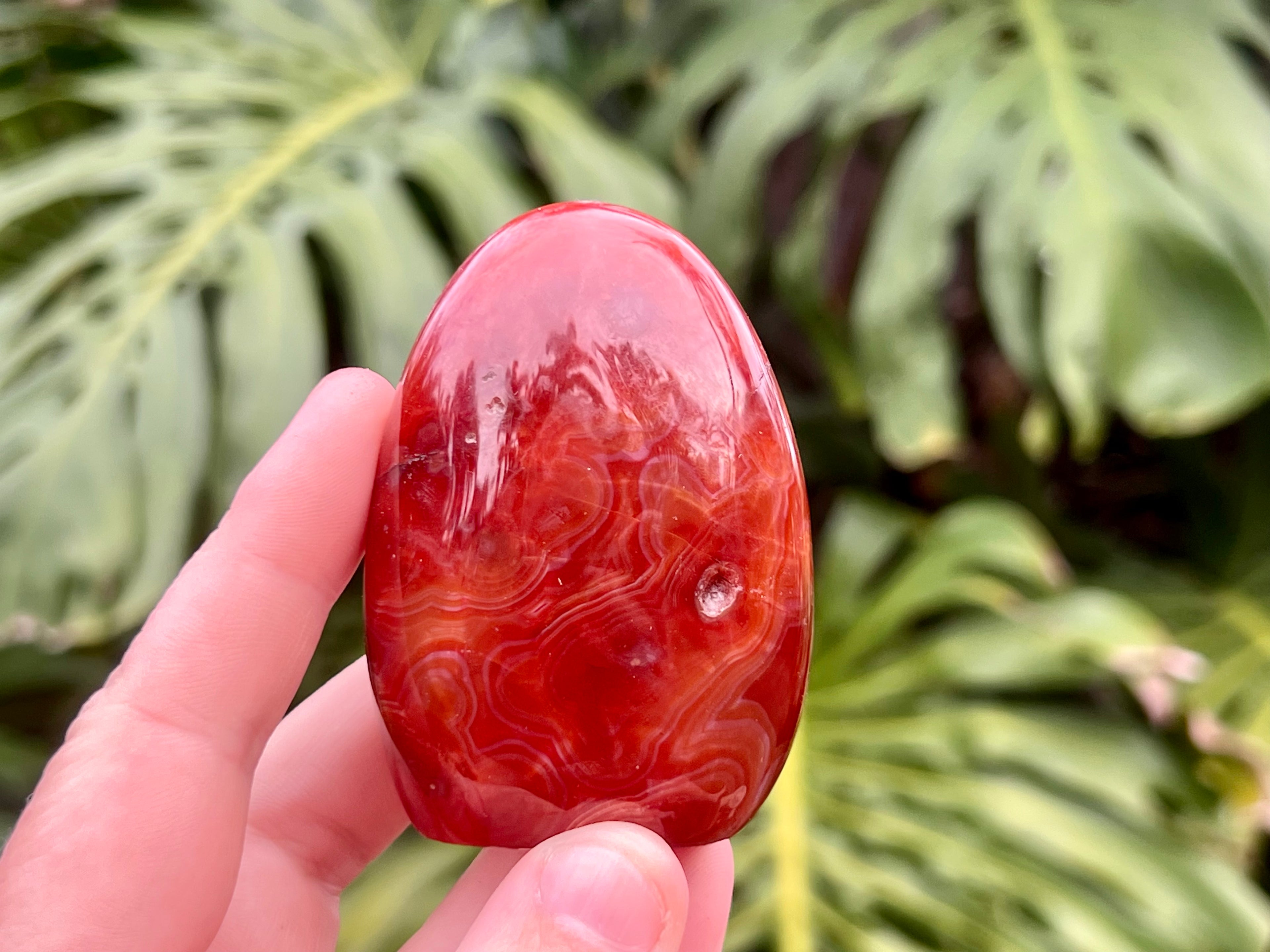 Carnelian freeform with rich orange and red swirls, polished to a glossy finish, radiating warmth, vitality, and creative energy.This photo i am holding the crystal to show you the size 