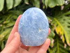 Blue Calcite freeform with soft, soothing blue tones and gentle curves, ideal for calming energy, emotional healing, and peaceful spaces. This photo I have the freeform in my hand to show the size 