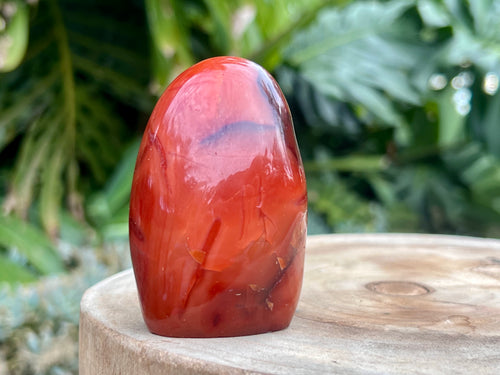 Carnelian freeform with rich orange and red swirls, polished to a glossy finish, radiating warmth, vitality, and creative energy