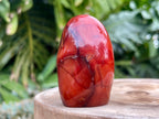 Carnelian freeform with rich orange and red swirls, polished to a glossy finish, radiating warmth, vitality, and creative energy